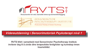 Sensorimotorisk_midt