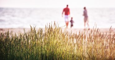 18. november: Regional konferanse om veteraner og deres familier
