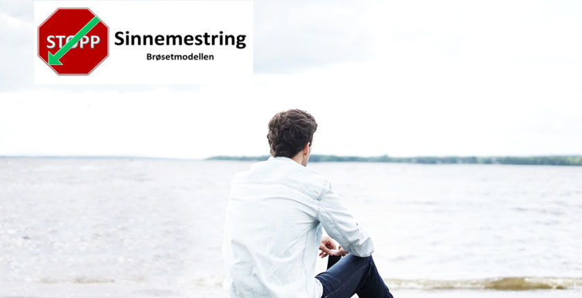 04. – 05.04.2024: Nettverks- og veiledningssamling Sinnemestring Brøset