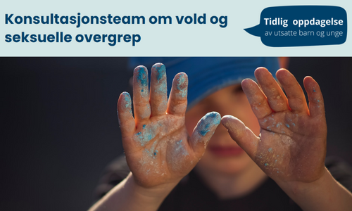 Konsultasjonsteam om vold og seksuelle overgrep mot barn