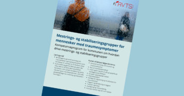 2025: Mestrings- og stabiliseringsgrupper